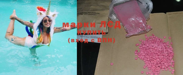 индика Вяземский