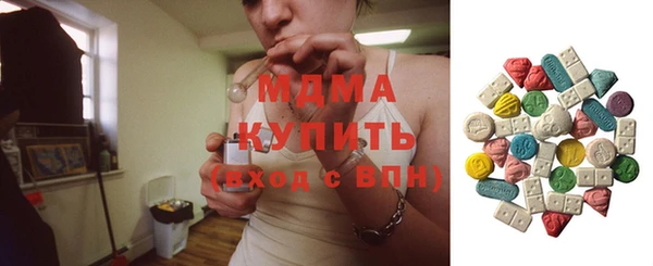 индика Вяземский