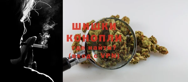 сатива Вязьма