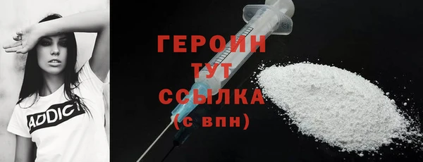 индика Вяземский