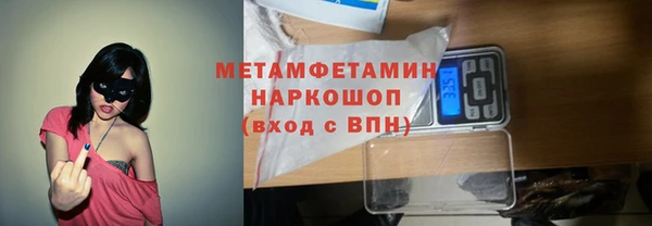 индика Вяземский