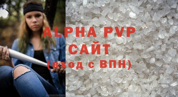 индика Вяземский