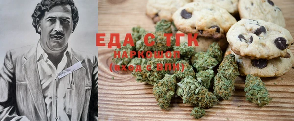 индика Вяземский