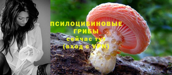 твердый Вязники