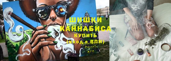 сатива Вязьма
