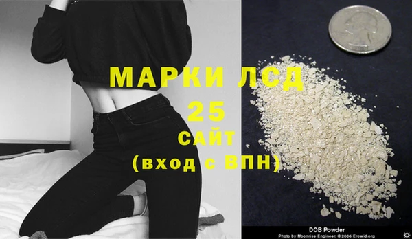 индика Вяземский